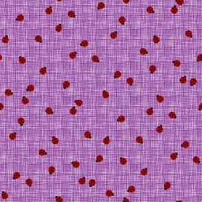 Ladybugs - Purple on White