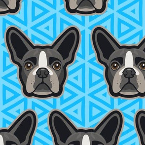 Boston Terrier Blue Large