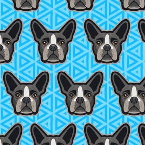 Boston Terrier Blue Medium