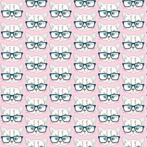 Hipster Kitten Pastel Baby Pink Small