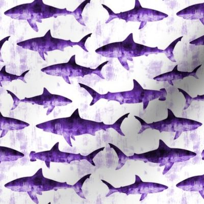 sharks - purple