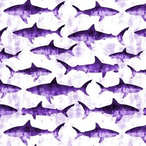 sharks - purple