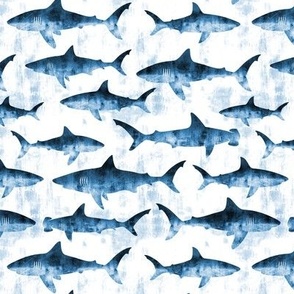 sharks - blue