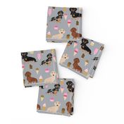 dachshunds mixed coats doxie ice cream summer dog breed fabric grey