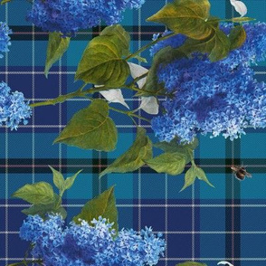 Lily Oak Tartan 2