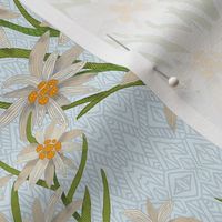 Small Edelweiss pattern