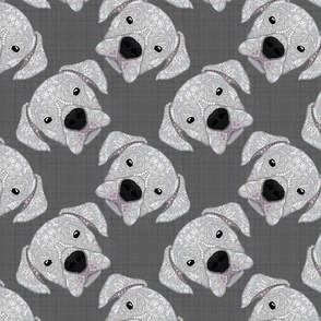 WHITE BOXER PATTERN GREY 16