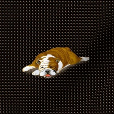 Custom Snoozing Bulldog on Dark Dotted Background