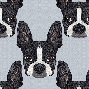 Boston terrier blue 16