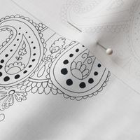 MONOCHROME PAISLEY