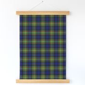 Woodbadge-style tartan (brighter)