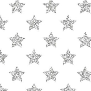 Stars // Silver Glitter Collection