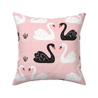 White + Black Swans on Pink