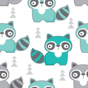 grey and teal raccoons