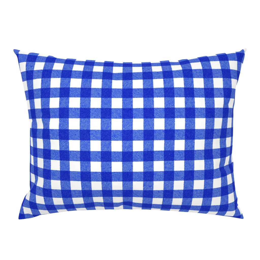 blue textured gingham