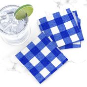 blue textured gingham