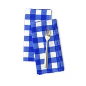 blue textured gingham