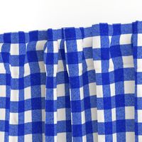 blue textured gingham