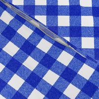 blue textured gingham