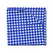 blue textured gingham