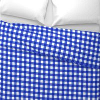 blue textured gingham