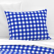 blue textured gingham