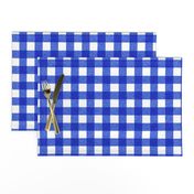 blue textured gingham