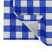 blue textured gingham