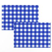 blue textured gingham