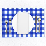 blue textured gingham