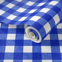 blue textured gingham