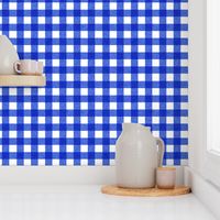 blue textured gingham