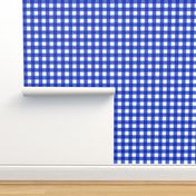 blue textured gingham