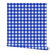 blue textured gingham