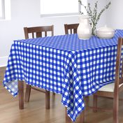 blue textured gingham