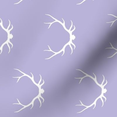 Antlers - Lilac