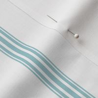 Duck egg blue ticking stripe