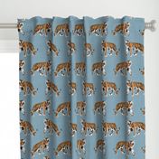 Tiger Walk - Larger Scale on Blue