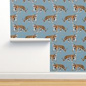 Tiger Walk - Larger Scale on Blue