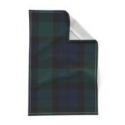 Blackwatch Tartan ~ Traditional ~ Textured  