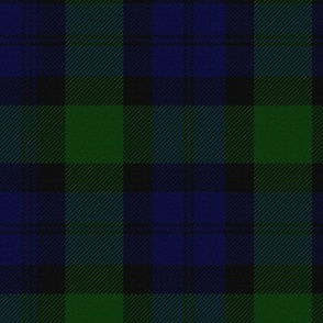 Blackwatch Tartan ~ Parc-Aux-Cerfs and Trafalgar ~ Textured 