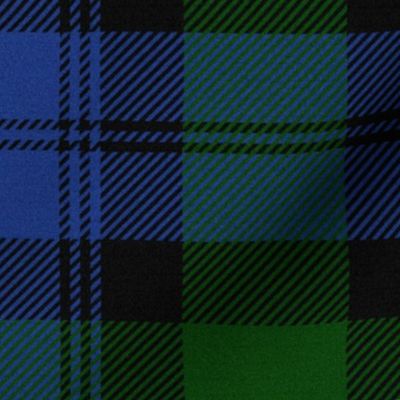 Blackwatch Tartan ~ Jardin and Willow Ware  ~ Textured  