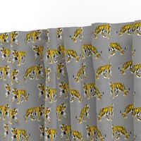 Tiger Walk - Smaller Scale Yellow Orange on Grey