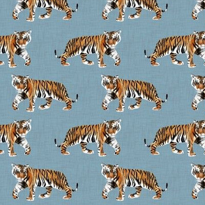 Tiger Walk - Smaller Scale on Blue