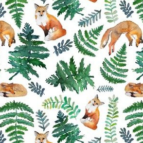 foxes and ferns