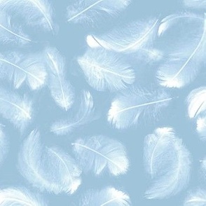 Down Feathers/Grey Aqua