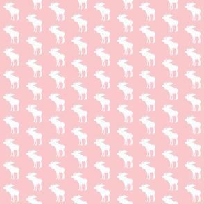 Pink and white Moose