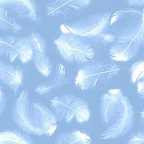 Down Feathers Turquoise Blue