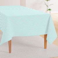 1382_White with Aqua Stripes, 6b3ce3