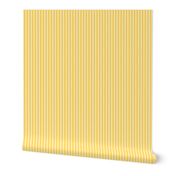 1382_Gold with White Vertical Stripes